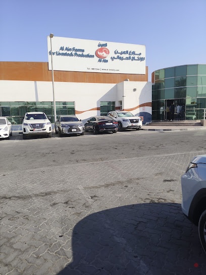 Dubai Companies list