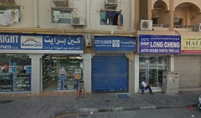 Dubai Companies list