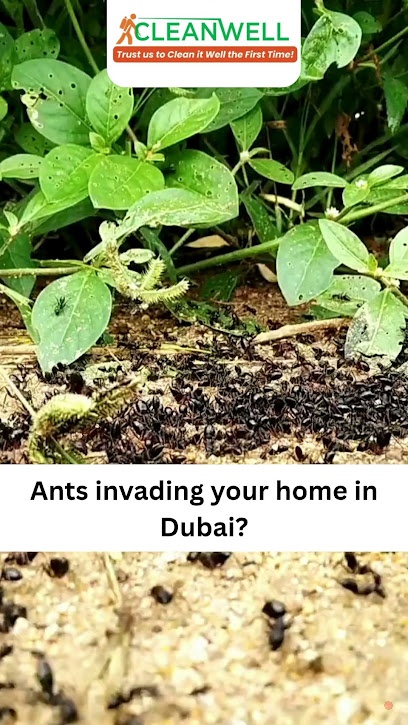 Dubai Companies list