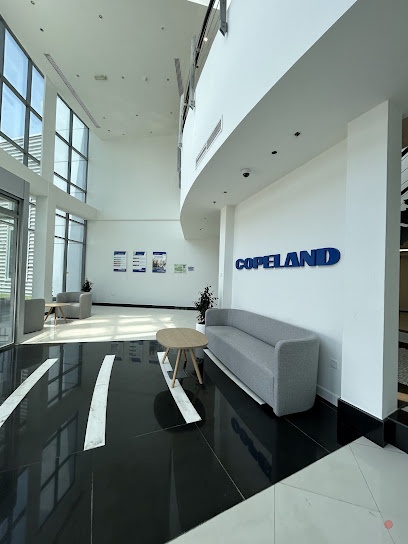 Dubai Companies list