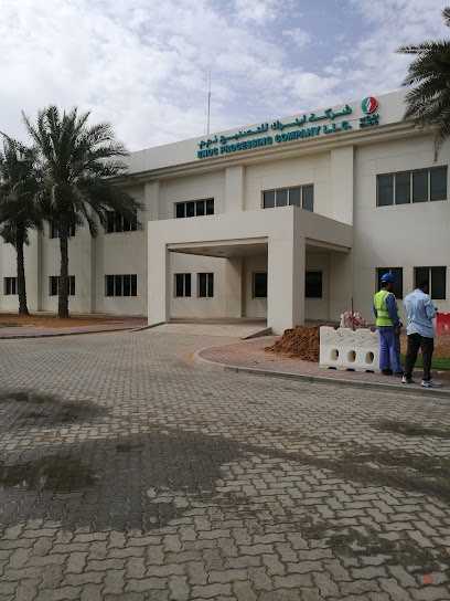 Dubai Companies list