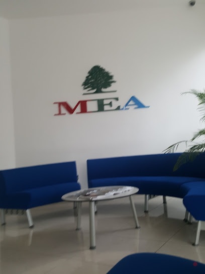 Dubai Companies list