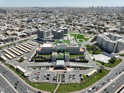Dubai Companies list