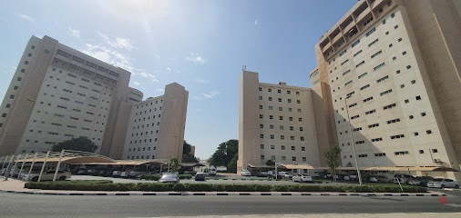 Dubai Companies list